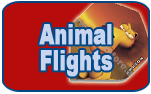 Animal Flights