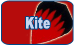 Kite