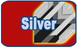 Amazon Silver Flights