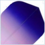 Bottom Transparent - Purple and Blue