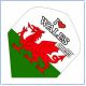 National flag flights STD WALES