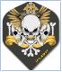 Invincible INV-3 Skull Crest